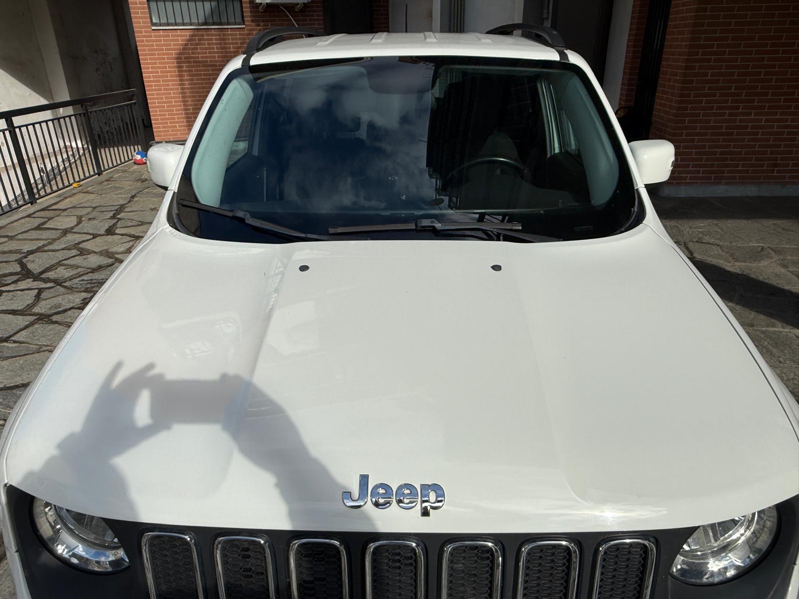 Jeep Renegade Renegade 1.6 Mjt 120 CV Longitude